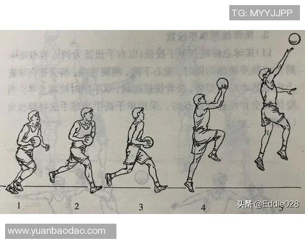 从零基础到篮球高手：全面提升速度与技巧的实用指南