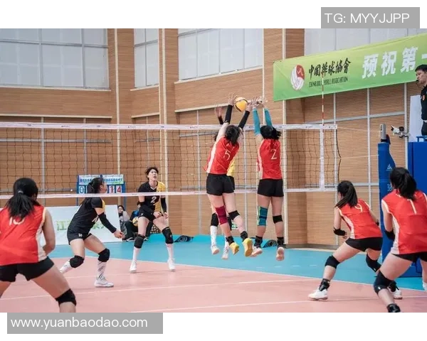 重庆排球队荣登排球状态排行榜第一名引发热议与关注